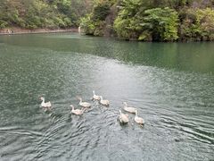 -天台山琼台仙谷景区