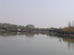 -东郊湿地公园
