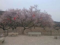 iphone_upload_pic-蒙山大佛景区