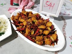 -特种渔场