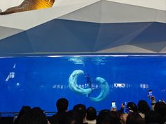 -泉城欧乐堡海洋极地世界