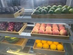 -雾与山茶(大禹城店)