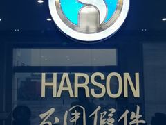 -华胜奔驰宝马奥迪专修连锁(虹梅南路店)