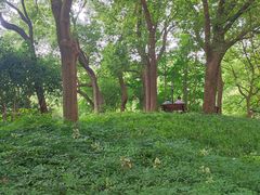 -徐家汇源景区-衡山公园