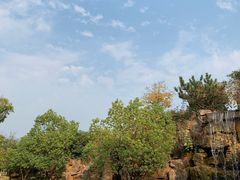 -杏花村文化旅游区