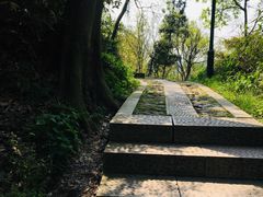 -杭州黄龙洞