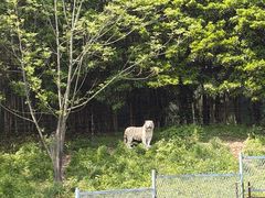 -宁波野生动物园