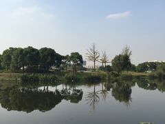 -新江湾城公园