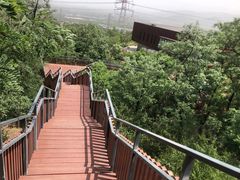 -紫云台香草园