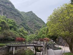 -宁波五龙潭景区
