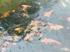 -柯岩风景区