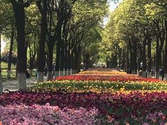 -上海鲜花港