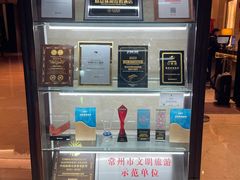 -常州环球恐龙城维景国际大酒店