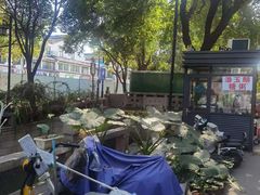 -潘玉麟糖粥