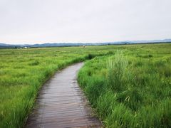 -敕勒川草原