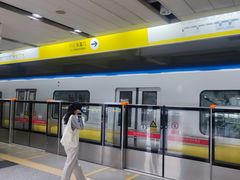 -望京西(地铁站)