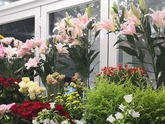 -FEI FEI FLOWER鲜花店·气球派对·宝宝宴布置(虹口德必运动Loft店)