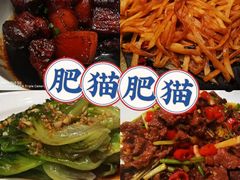 -肥猫(义乌万达店)