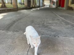 -广州市紫泥堂文化创意园景区