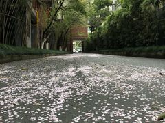 -杭州西湖艺联君亭酒店(黄龙体育中心地铁口店)