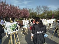 -西安青龙寺遗址景区