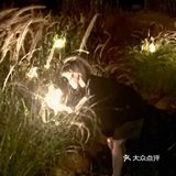 凉风习习，夏日限定