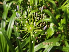 -雀儿山公园