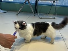 -怪兽屋·羊驼·猫咖·狗咖(俊华广场店)