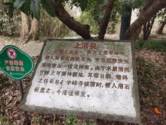 -上海佘山国家森林公园天马山园