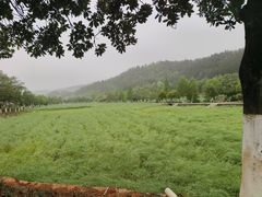 -大小河街