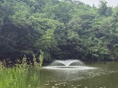 -天目湖山水园