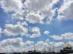 -复旦大学附属华山医院(江苏路分部)