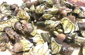 Steamed Crab Claw Snail