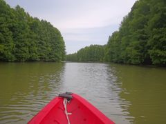 -上海海湾国家森林公园