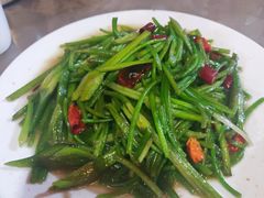 炒海菜-苍洱春饭店