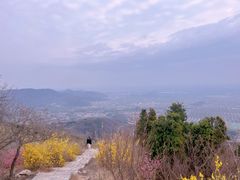 -北京西山国家森林公园