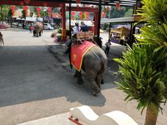 -东芭乐园
