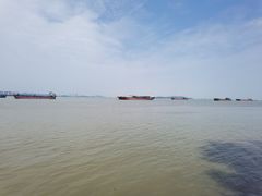 -南沙蒲洲花园
