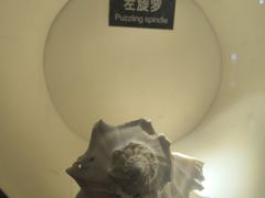 -泉城欧乐堡海洋极地世界