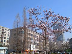 -蓝堡俱乐部