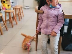 -平行世界·猫咖(首经贸店)