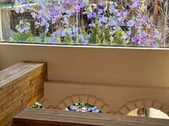 -Lamant Manor已闻花名关於蓝