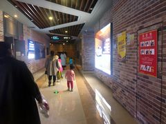 -SFC上影影城(北京大兴龙湖天街IMAX店)