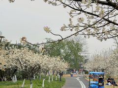 -国际非物质文化遗产博览园