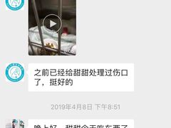 -丹景宠物医院·全科·老年病·牙科(武昌诊疗中心)