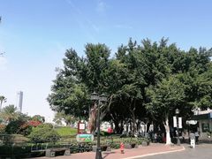 -厦门帷幕开啦红地毯蜡像艺术馆