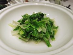 -西郊5号·Maggie 5