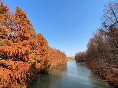 -上海海湾国家森林公园