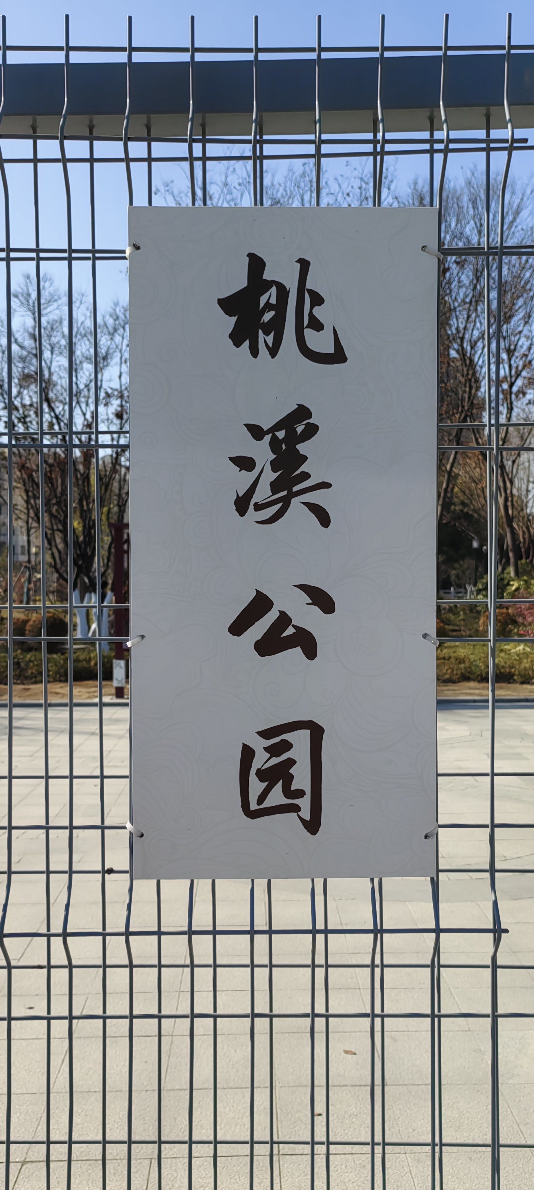 桃溪公园里嫩黄色腊梅花争相开放,吸引了游客,驻足拍照