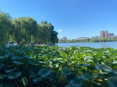 -济南大明湖景区
